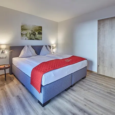 Alpenparks & Steve 4* フィーホーフェン