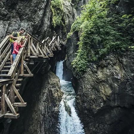 Alpenparks & Steve Viehhofen