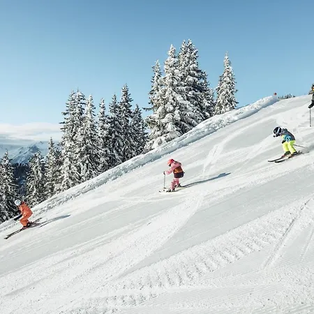 Alpenparks & Steve 4* Viehhofen