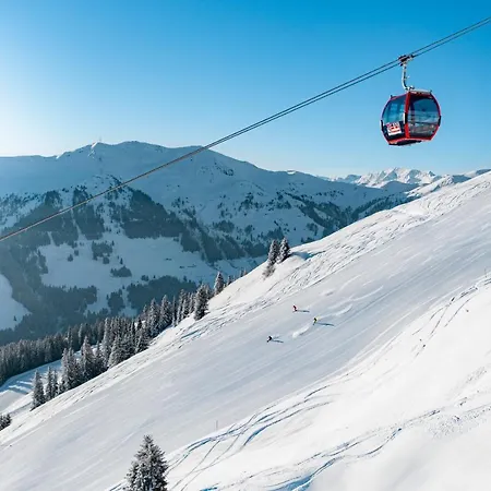 Alpenparks & Steve Aparthotel *