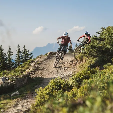 Alpenparks & Steve Aparthotel 4*