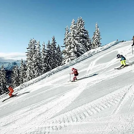 Lejlighedshotel Alpenparks & Steve Viehhofen