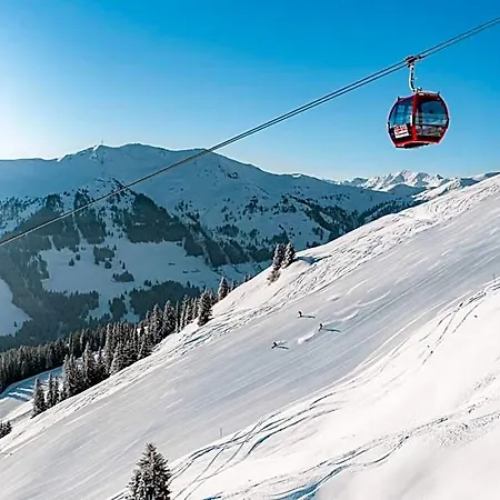 Alpenparks & Steve Lejlighedshotel Viehhofen