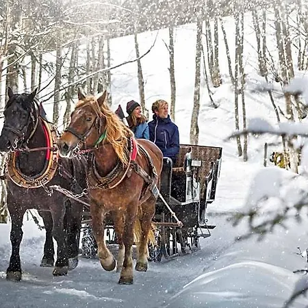 Alpenparks & Steve Апарт-отель