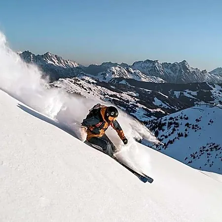 Апарт-отель Alpenparks & Steve