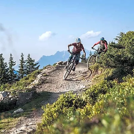 Alpenparks & Steve 4* Фихофен
